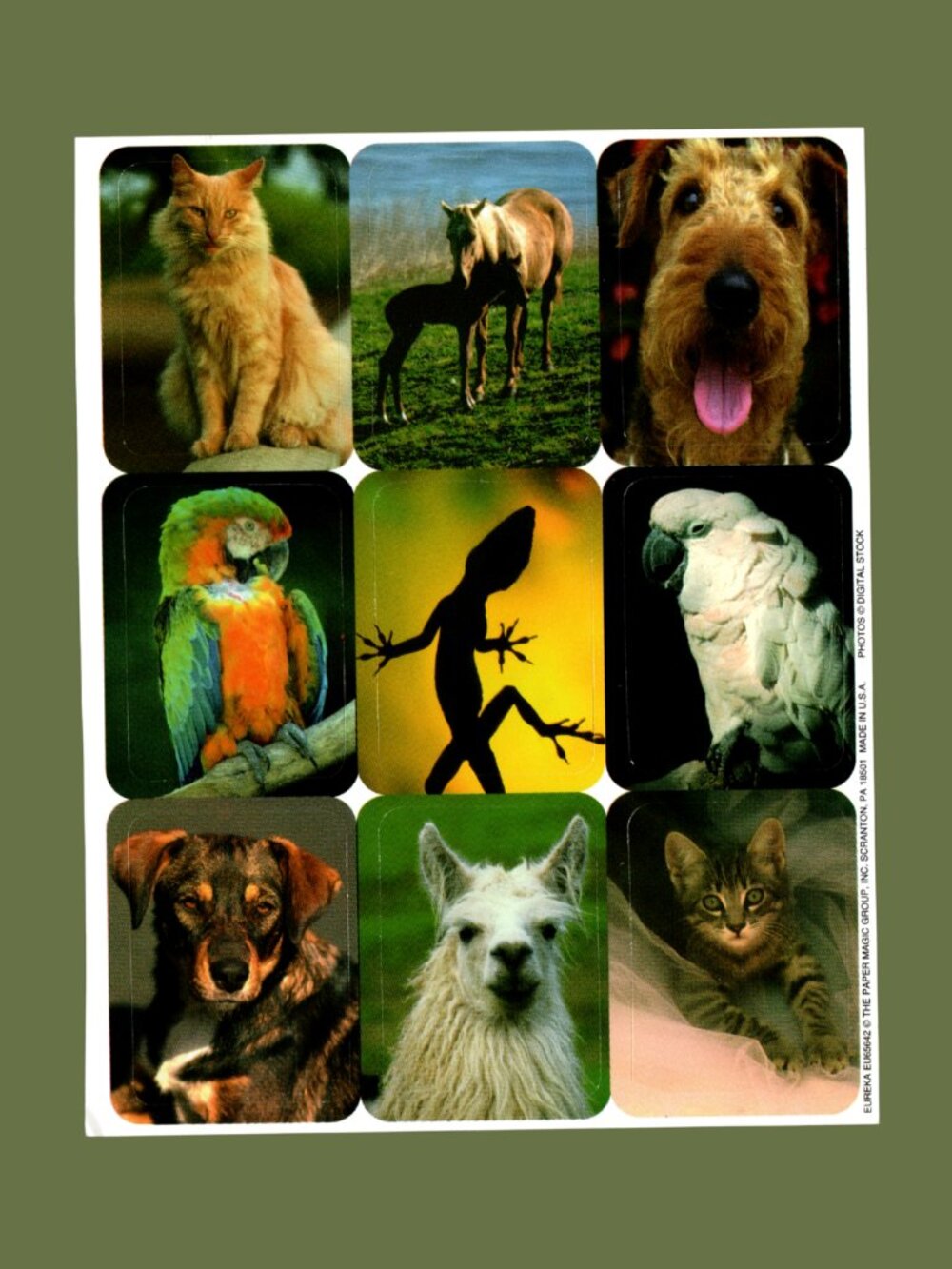 Eureka / Paper Magic Group "Real Photo" Animal Stickers Vintage Y2K